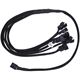 Phobya Y-Kabel 4Pin PWM auf 6x 4Pin PWM 60cm - Schwarz